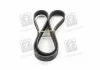 Ремень поликлин. (пр-во) SKF VKMV6PK1117 (фото 2)