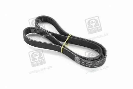 Ремень поликлин. SKF VKMV6PK1117