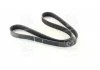 Ремень поликлин. (пр-во SKF) VKMV6PK1042