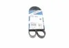 Ремінь П-клиновий 5PK1644 HYUNDAI/KIA/SUZUKI Accent/Getz/i10/i20/i30/Cerato/Grand Vitara \'\'96>> BOSCH 1987946237 (фото 1)