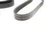 Ремінь П-клиновий 5PK1644 HYUNDAI/KIA/SUZUKI Accent/Getz/i10/i20/i30/Cerato/Grand Vitara \'\'96>> BOSCH 1987946237 (фото 2)