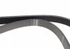 Ремінь П-клиновий 5PK1644 HYUNDAI/KIA/SUZUKI Accent/Getz/i10/i20/i30/Cerato/Grand Vitara \'\'96>> BOSCH 1987946237 (фото 3)