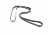 Ремінь П-клиновий 5PK1644 HYUNDAI/KIA/SUZUKI Accent/Getz/i10/i20/i30/Cerato/Grand Vitara \'\'96>> BOSCH 1987946237 (фото 5)