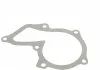 Насос водяний, FORD B-Max, C-Max, Fiesta, Focus, Fusion, Kuga, Mondeo, Transit; 1.25-1.6, 07- HEPU P255 (фото 7)