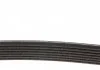 Ремінь поліклиновий, BMW E90 06-11, SUBARU Legacy 2.0 09-14 DAYCO 7PK1853 (фото 2)