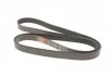 Ремень поликлиновый, HYUNDAI H-1, JEEP Grand Cherokee, KIA Sorento 2.5 CRDi 02- Gates 7PK2285 (фото 2)