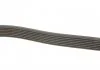 Ремень поликлиновый, HYUNDAI H-1, JEEP Grand Cherokee, KIA Sorento 2.5 CRDi 02- Gates 7PK2285 (фото 3)