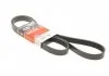 Ремінь генератора Honda Accord 2.0/2.4 03-08/Nissan Navara/Pathfinder 2.5 dCi 06- Gates 7PK1753