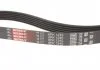 Ремінь поліклиновий, 2.0 HDi/D Multijet 10- Gates 6PK1245 (фото 2)