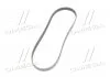 Ремень генератора VW Golf/Jetta/Passat/Tiguan 1.4/1.6 TSI/FSI 03- Gates 6PK1088 (фото 4)