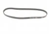 Ремінь поліклиновий, HONDA Civic/CRX, MITSUBISHI Carisma/Colt/Lancer, RENAULT Laguna 1.6, 1.8 89-06 Gates 4PK773 (фото 5)