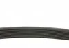 Пас поліклиновий BMW 3 (F30/F80)/5 (F10)/X5 (F15) Contitech 8PK1390 (фото 2)