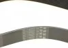 Пас поліклиновий BMW 3 (F30/F80)/5 (F10)/X5 (F15) Contitech 8PK1390 (фото 4)