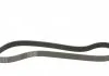 Пас поліклиновий BMW 3 (F30/F80)/5 (F10)/X5 (F15) Contitech 8PK1390 (фото 5)