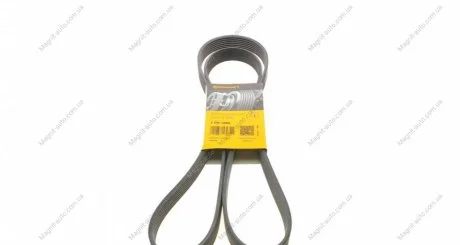 Ремінь поліклиновий Contitech 7PK1855