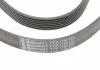 Ремень генератора Megane/Scenic 1.4 16V 09- Contitech 7PK1785 (фото 3)