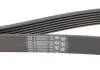Ремень генератора Megane/Scenic 1.4 16V 09- Contitech 7PK1785 (фото 4)