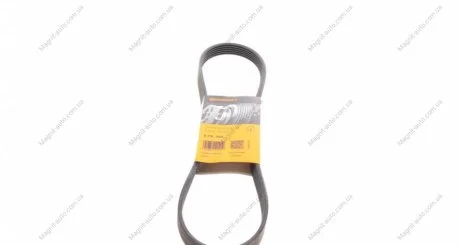 Ремень поликлиновой Conti Contitech 6PK955