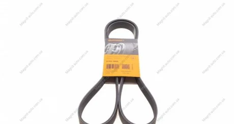 Ремінь поліклиновий Contitech 6PK1605