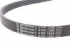 Ремінь генератора Mini Cooper 1.2/1.4 04- Contitech 6PK1388 (фото 2)