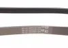 Ремень поликлиновой 4PK830 Contitech 4PK830ELAST (фото 2)