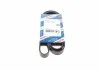 Дорожный ремень 6PK1590 BOSCH 1 987 946 096 (фото 1)