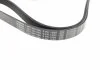 Дорожный ремень 6PK1590 BOSCH 1 987 946 096 (фото 3)
