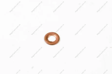 Кільце ущільнювача MB/SSANGYONG VICTOR REINZ 70-31598-00