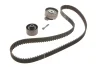 Комплект ременя ГРМ VKMA03132 SKF VKMA 03132