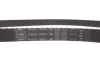 Ремкомплект ГРМ FORD Cougar/Focus/Mondeo/TourneoConnect/Transit/Connect "1,6-2,0 "96-13 SKF VKMA 04214 (фото 7)