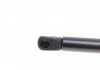 Пружина газова зад. SEAT, IBIZA 3/08- LESJOFORS 8182920 (фото 3)