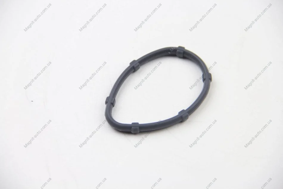 Прокладання колектора впуск Renault Clio III 2.0i (06-)/Nissan Primastar 2.0 dCi (01-) Asam ASAM 32969 (фото 1)