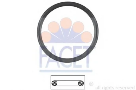 Кільце ущільнювача термостата Skoda Roomster 1.4 (06-15) Facet FACET 7.9538