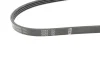 Ремень П-клиновый 4PK1125 BOSCH 1987946081 (фото 2)