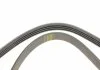 Ремень П-клиновый 4PK1015 BOSCH 1987947860 (фото 4)
