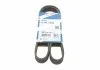 Ремінь П-клиновий 6PK1090 BOSCH 1987948381 (фото 1)