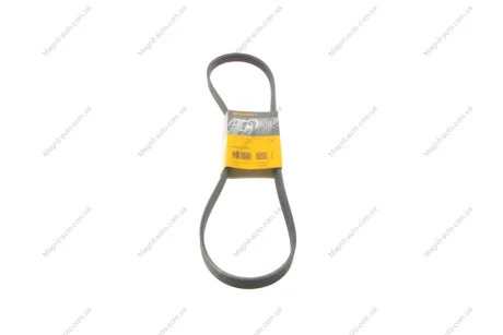 Ремень поликлиновой Contitech 5PK1173