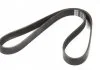Ремень поликлиновый (Пр-во) DAYCO 6PK1059 (фото 2)