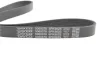 Ремень П-клиновый Dayco DAYCO 6PK962S (фото 3)