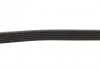 Ремінь генератора Citroen C2/C3/C4/Peugeot 206/207/307 1.4/1.6 HDi 04- Gates 6PK1090SF (фото 3)