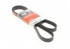 Ремень поликлиновый, CHEVROLET Aveo 11-15 Gates 6PK1520 (фото 1)