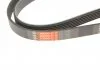 Ремень поликлиновый, CHEVROLET Aveo 11-15 Gates 6PK1520 (фото 4)