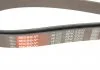 Ремінь поліклиновий, JAGUAR XF, MAZDA 6 2.3, 3.0 02-15 Gates 6PK2305 (фото 4)