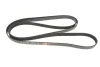 Ремінь генератора Jeep Cherokee 2.5/2.8 CRD 01-08 Gates 6PK2870 (фото 4)