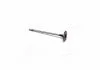 Клапан впускной IN OPEL A16XER/A18XER/Z16LEL/Z16LER/Z16XER/Z16LET/Z18XER 31.2X5X113.8 (произ-во) AE V98024 (фото 3)