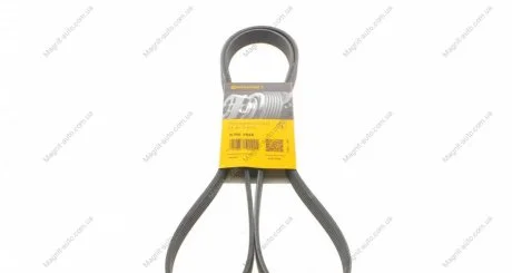 Ремінь поліклиновий Contitech 6PK1845
