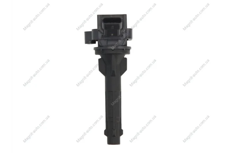 Катушка зажигания Delphi GN10203-12B1 (фото 1)