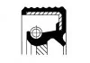 Уплотняющее кольцо, коленчатый вал CORTECO 20032405 (фото 1)