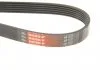 Ремінь генератора BMW E46 M47 01-05 Gates 6PK2090 (фото 5)