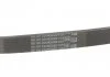 Поликлиновый ремень CITROEN BERLINGO PEUGEOT 306, PARTNER 1.1/1.4/1.6 04.93-12.15 Contitech 5PK805 (фото 5)